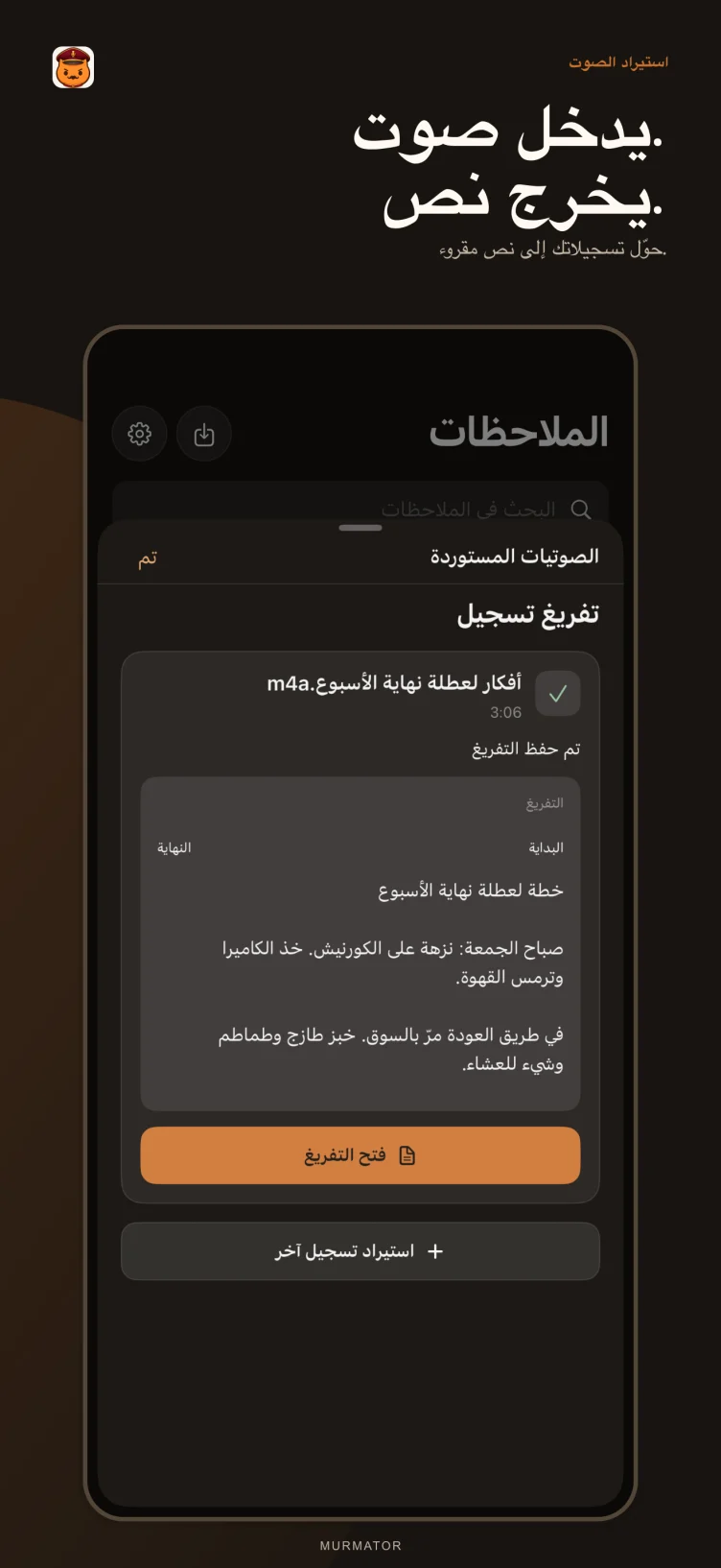 استيراد صوت