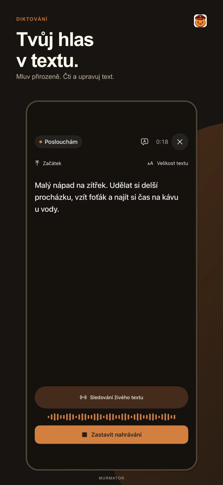 Diktování