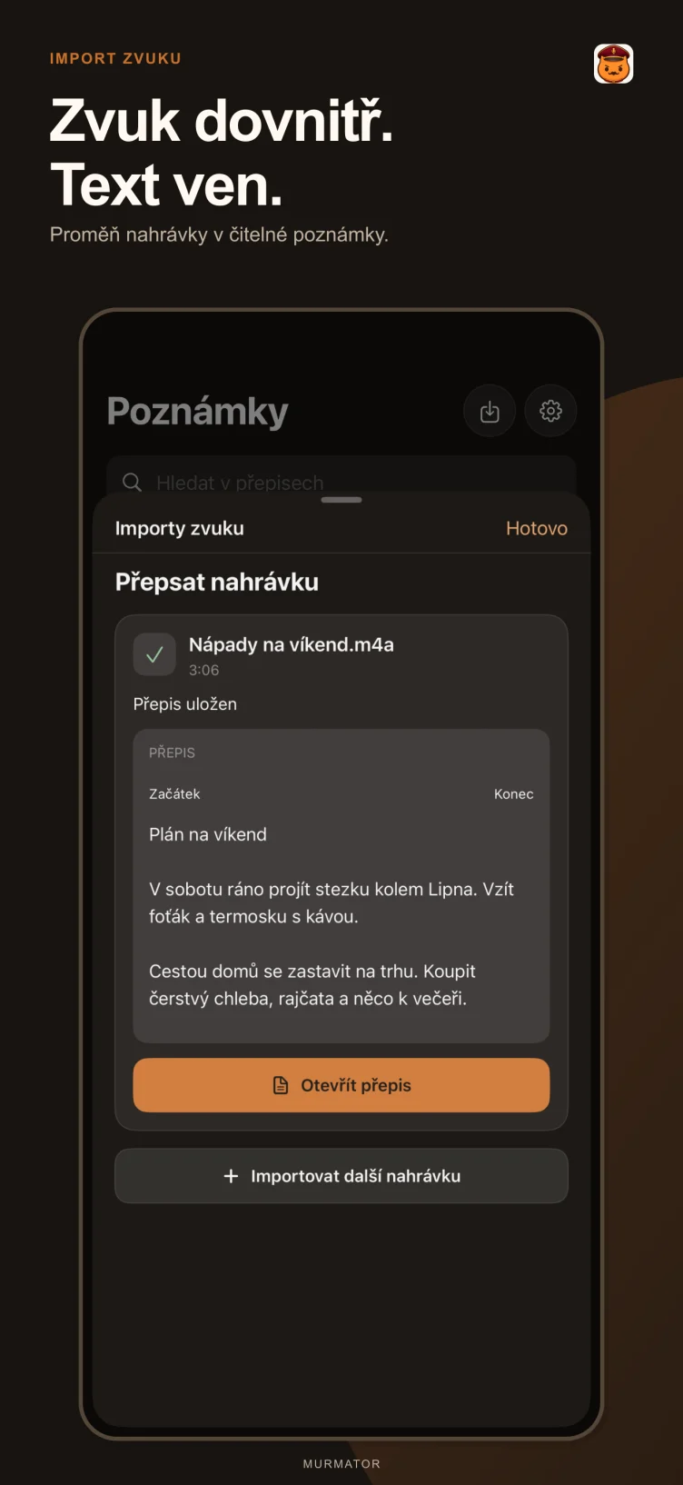 Import zvuku