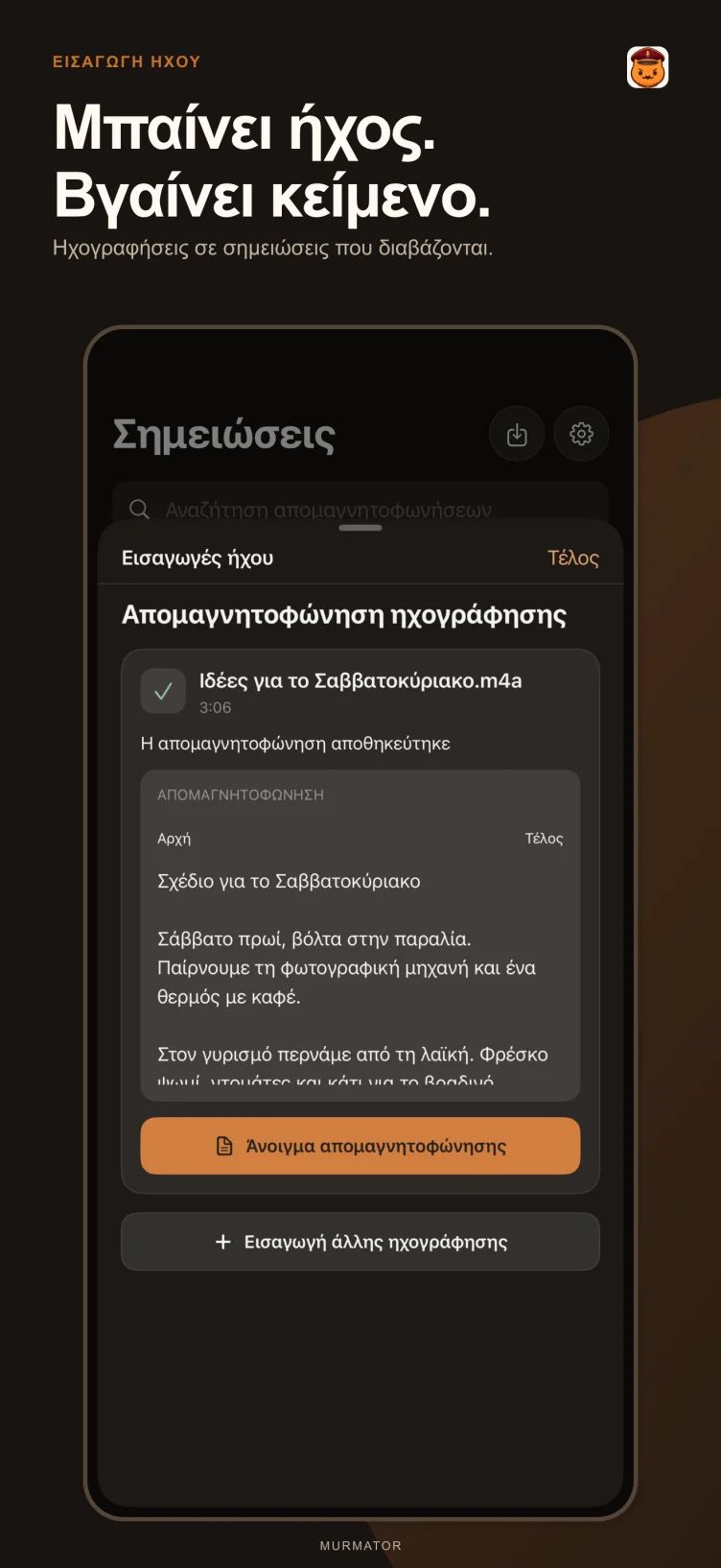Εισαγωγή ήχου