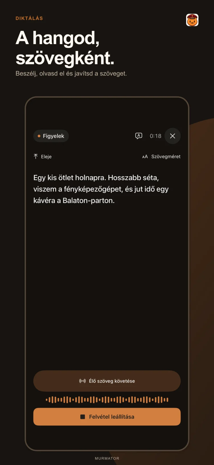 Diktálás