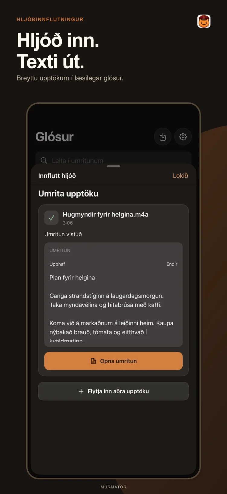 Flytja inn hljóð