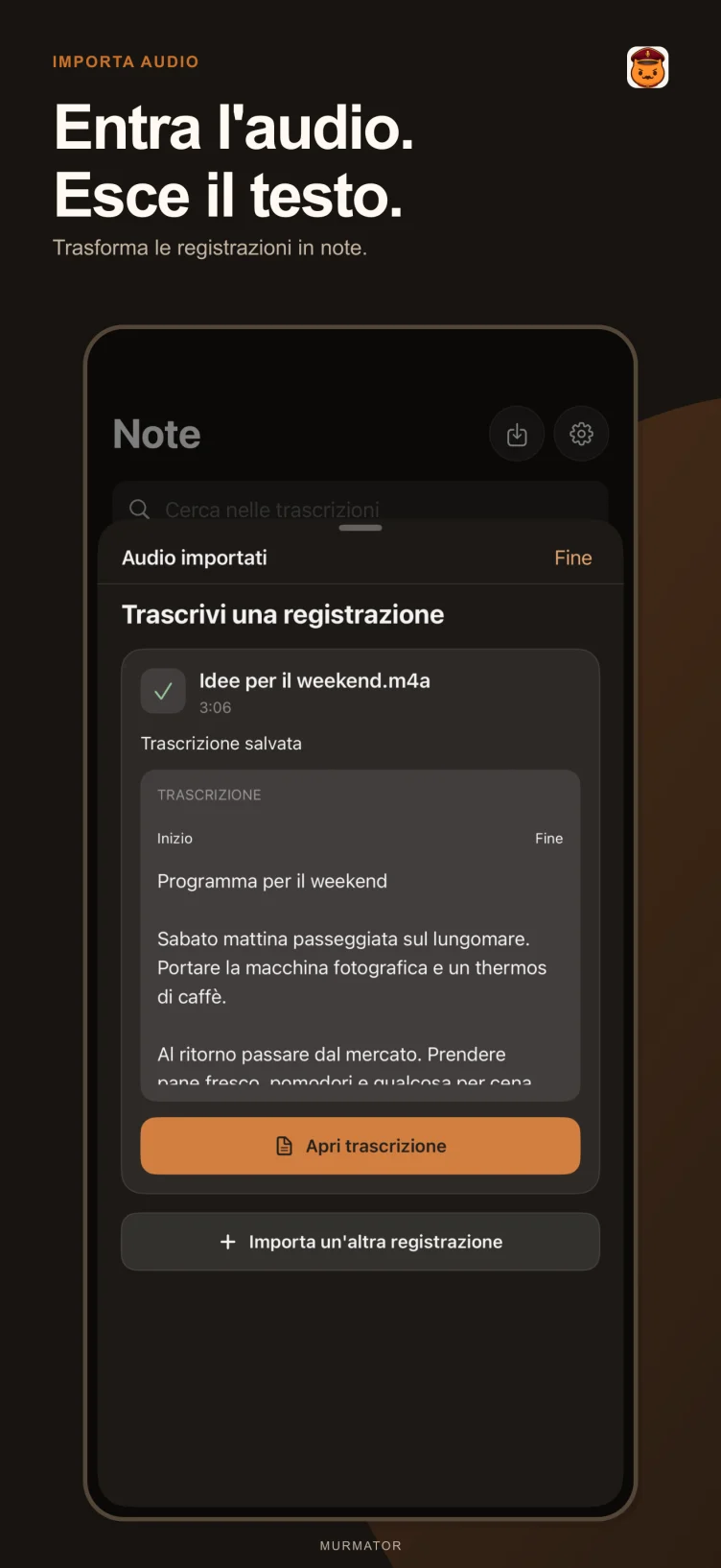 Importa audio