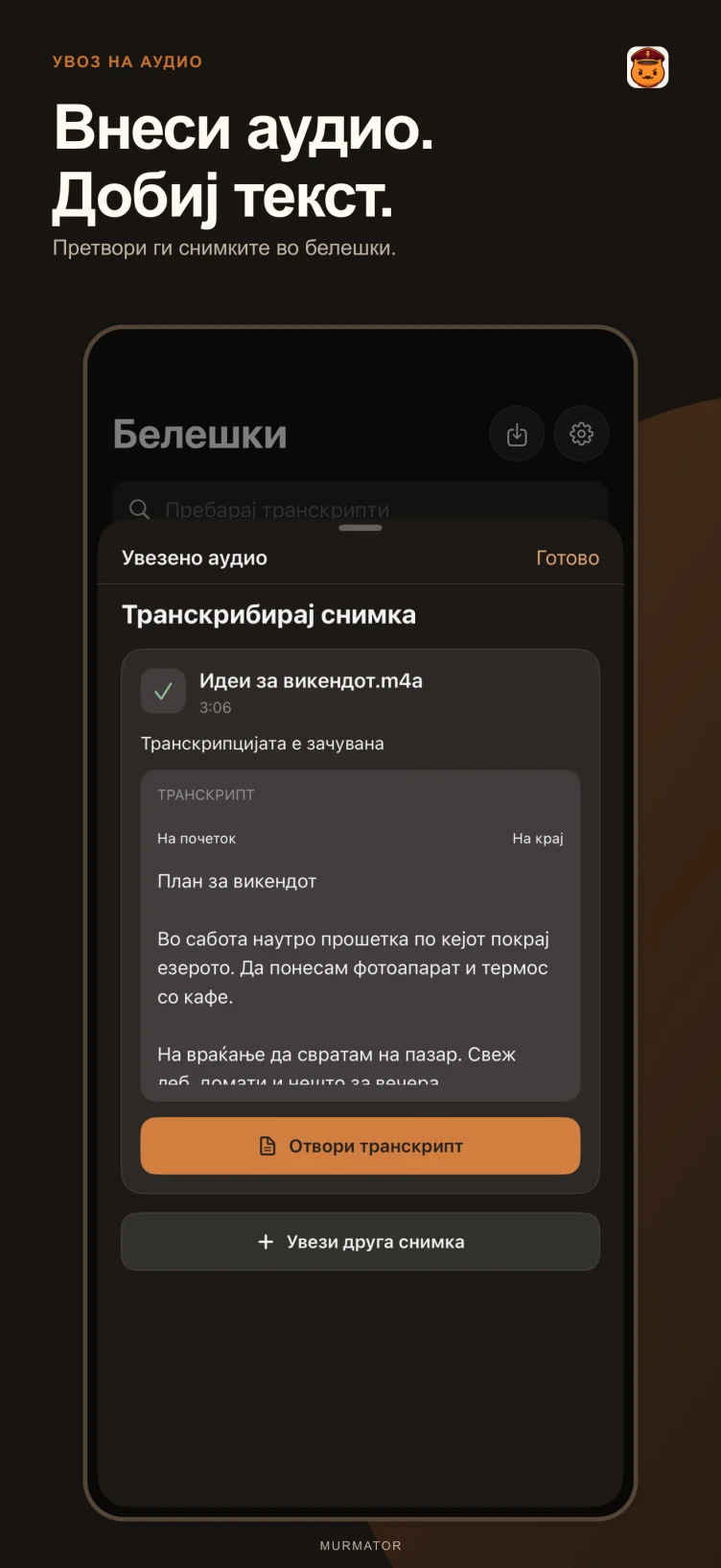 Увоз на аудио