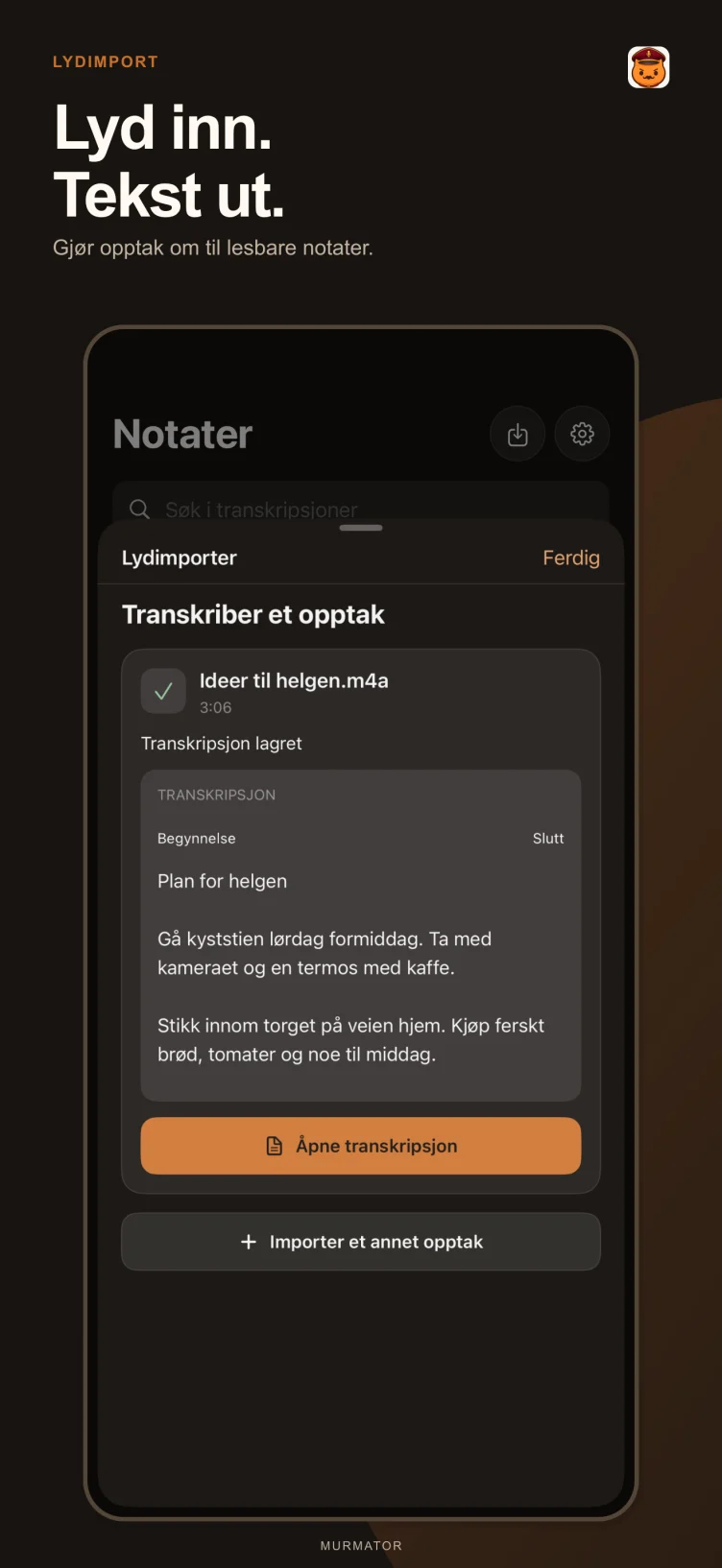 Importer lyd