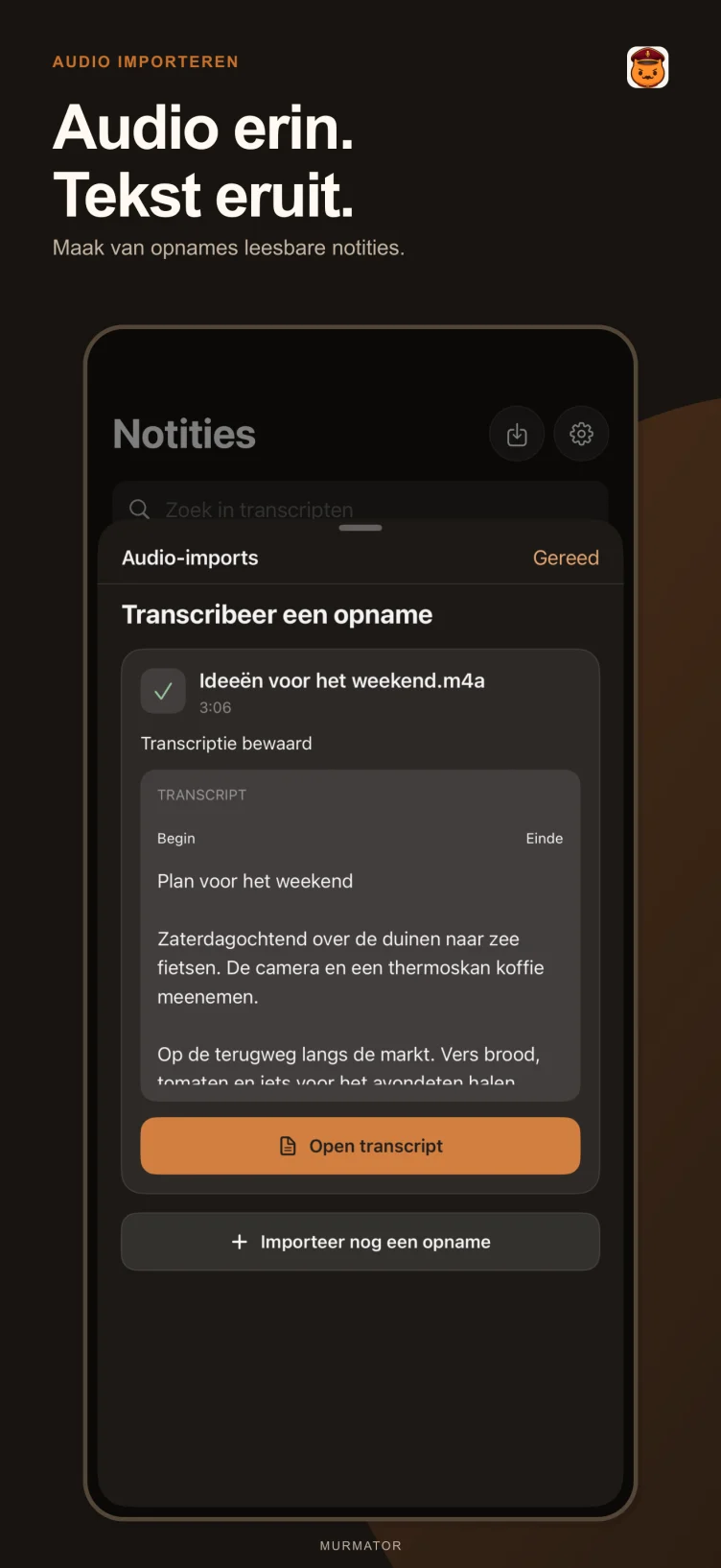 Audio importeren
