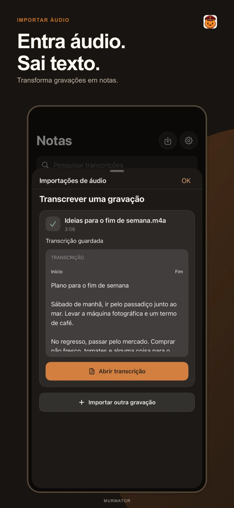 Importar áudio