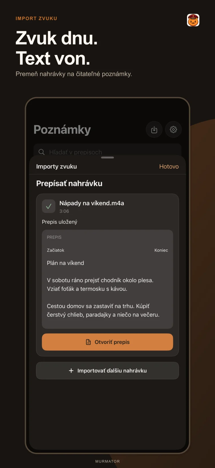 Import zvuku